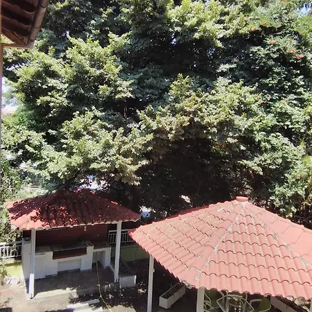 Apartment Garden House
